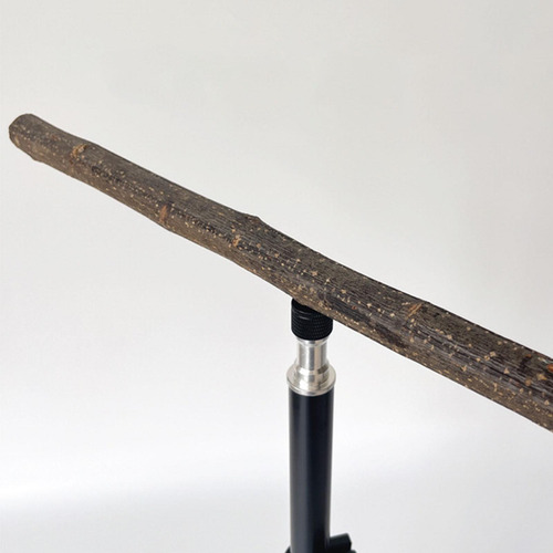 Percha De Madera Para Loros, Trípode Para Loros,