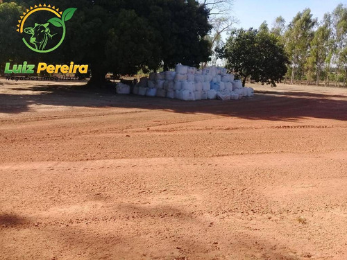 Imagem 11 de 15 de Fazenda À Venda Em Lagoa Do Tocantins-to-de 205 Alqueirões (dupla Aptidão) - 1816