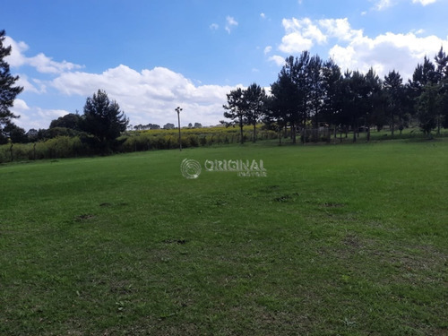 Imagem 15 de 17 de Chácara Para Venda - 10561.001