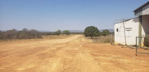 Fazenda De Gado Arinos Mg 2.250 Hectares 65.000,000,00 - 38491