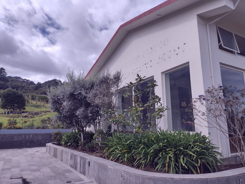 Ideal Rancho