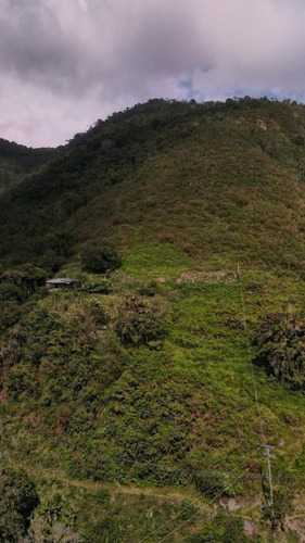Imagen 6 de 7 de Villa De La Luz