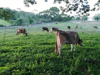 Hacienda-Finca en venta