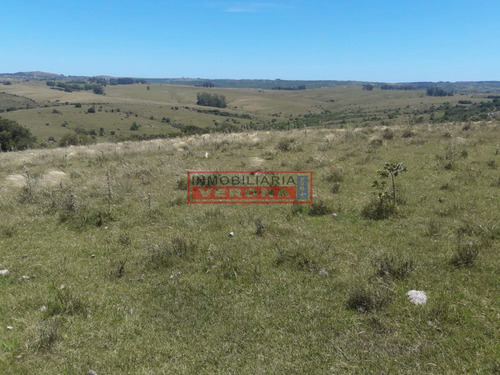 Imagen 12 de 16 de Campo En Carape - Departamento De Maldonado