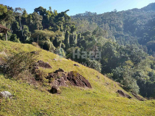 Imagem 6 de 13 de Chácara À Venda No Bairro Tiroleses - Timbó/sc - 2308c