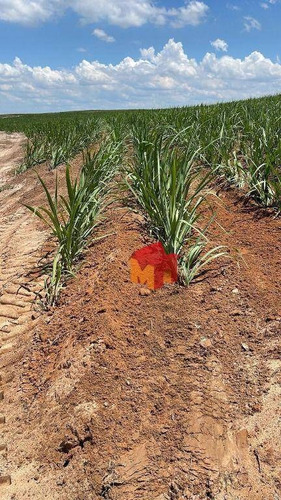Imagem 18 de 20 de Fazenda À Venda, 3546510 M² Por R$ 22.000.000,00 - Área Rural De Santa Maria Da Serra - Santa Maria Da Serra/sp - Fa0008
