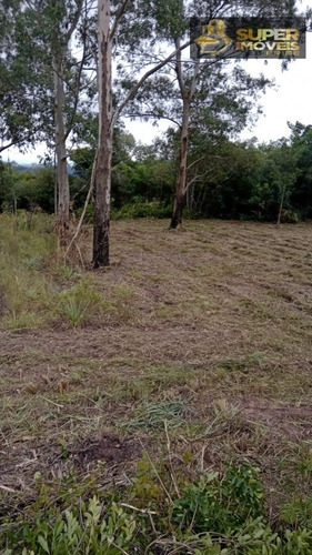 Imagem 1 de 9 de Chácara A Venda No Bairro Cascata Em Pelotas - Rs. - 2649-1