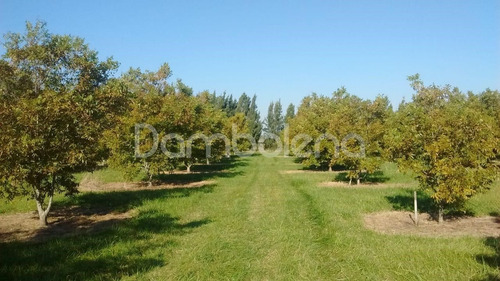 Imagen 1 de 25 de Terreno Campo En Venta Ubicado En Punta Indio, Resto De La Provincia