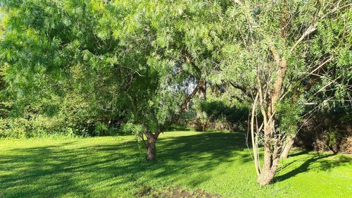 Open Door, Las Casuarinas Del Chalet, Sin Expensas 901 M2 ( Lote En Open Door )