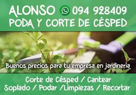 Cortes Pasto Podas Soplado La Salud De Tu Jardin