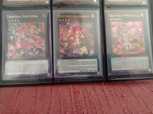 Deck Traptrix Bonito (incluye Micas Dragon Shield Seminuevas