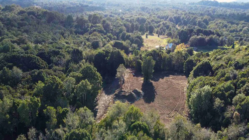 Subdivisión De Parcelas De 5.000m² A 25 Min De Puerto Varas