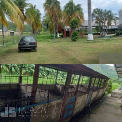 Imagen 7 de 10 de Venta De Granja Avícola/ San Francisco Asís/ 04128859981