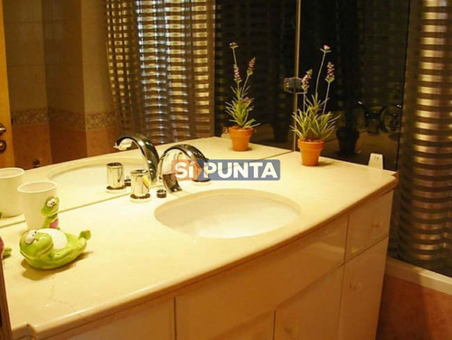 Imagen 10 de 15 de Apartamento En Brava, 3 Dormitorios *