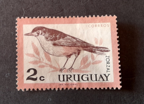 Sello Postal - Uruguay - Pajaros - 1963