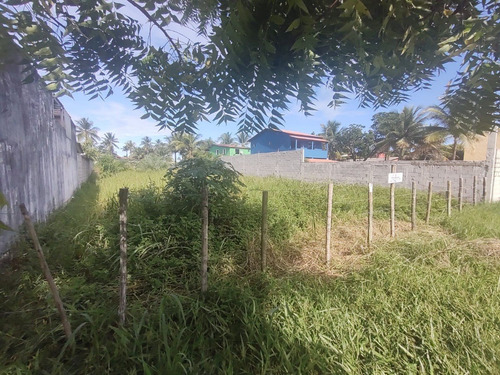 Imagem 5 de 8 de Vendo Terreno No Loteamento Barra Do Acuípe - Estrada Ilhéus-una Km 29 - 300m Da Praia