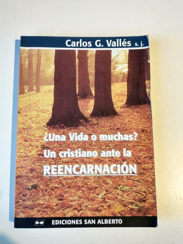 Una Vida O Muchas Un Cristiano Ante La Reencarnación Valles 