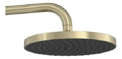 Chuveiro De Parede Deca Flex Max Summer Gold 2085.sm.std.mt