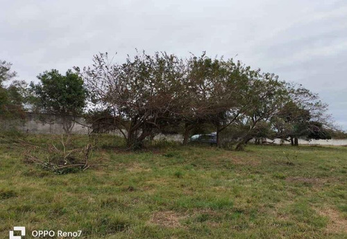 Venta Terreno En Ampliación Mata De Pita, Veracruz.