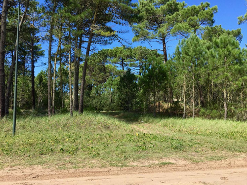 Imagen 3 de 6 de Lote En Alamos Mza 236 Lote 35