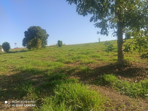 Ig Terrenos De 500 M2 Em Guauarema