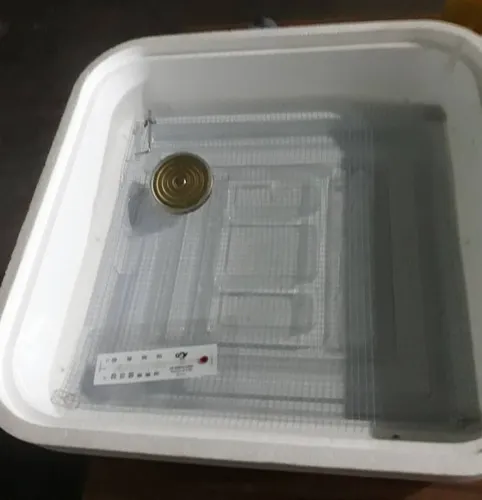 Incubadora Para Huevos