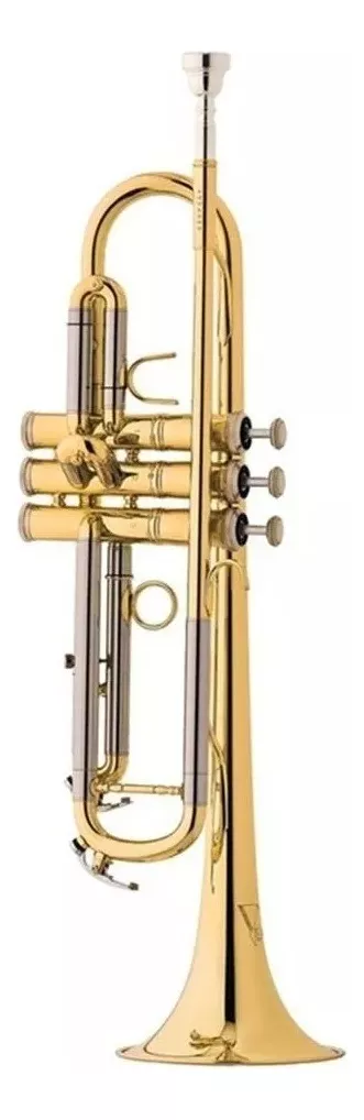 Segunda imagem para pesquisa de trompete usado