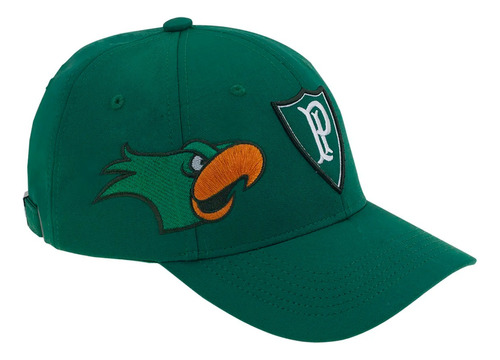 Bone Palmeiras Infantil Oficial Supercap Aba Curva 37823