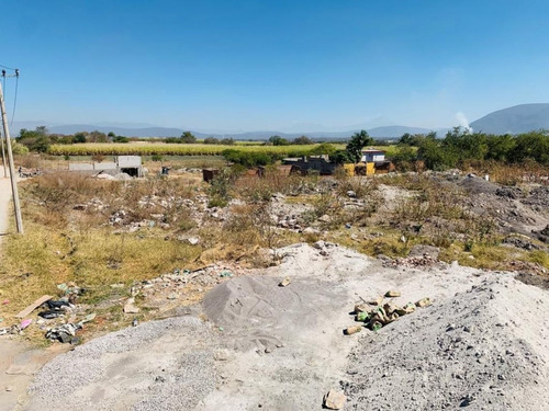 Imagen 7 de 14 de Terreno Campestre En Los Pilares, Jojutla, Morelos