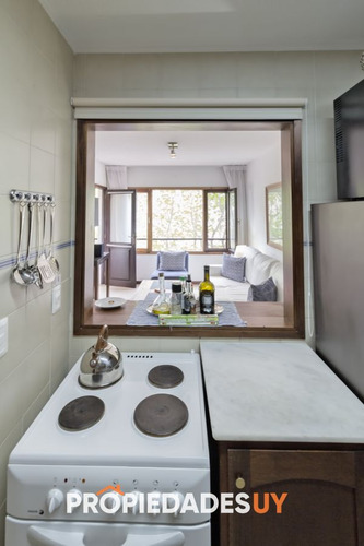 Imagen 8 de 24 de Impecable Apartamento En Peninsula
