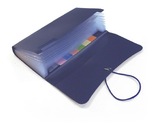 Clasificador Cheque 12 Div Archivador Fuelle Organizador Color Negro