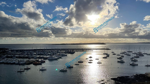 Imagen 10 de 28 de Puerto Punta - Piso Alto