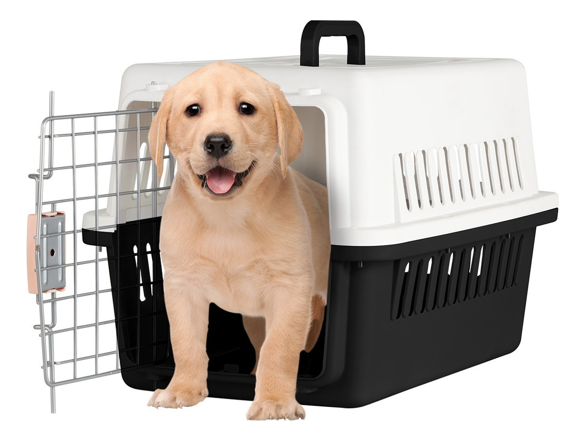 Transportadoras y bolsas de transporte para mascotas más vendidos de 2024: ¡Descubre la Kennel y Raganet!