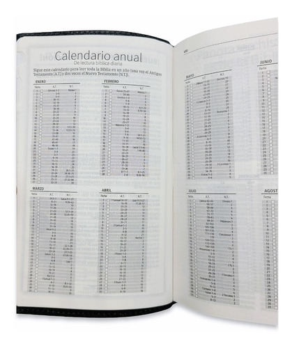 Imagen 8 de 9 de Nvi Biblia Compacta Letra Grande Negro Piel Con Indices