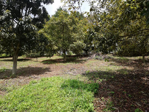 Venta Terreno Ejidal La Isleta