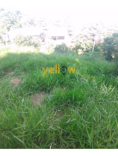Imagem 3 de 3 de Terreno - Mirante - Te-3537