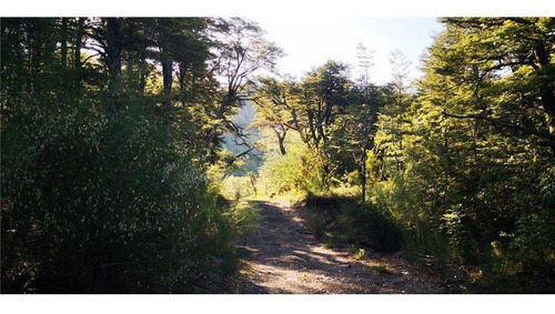 Pucon Parcela En Sector Cerduo - Oportunidad