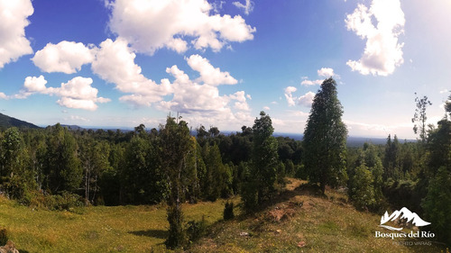 Black Friday 50% Dcto - Parcela 5.000 M2 Bosque Nativo Y Río