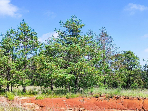 Terreno En Venta En Amealco