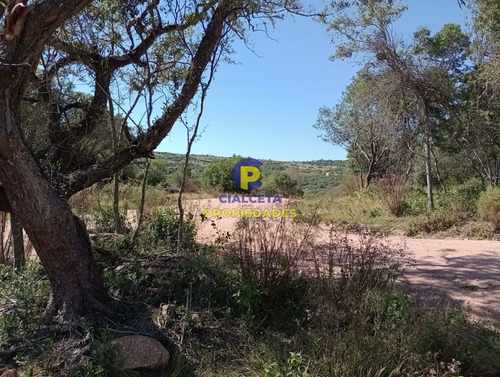 Imagen 9 de 14 de 5 Hectáreas, Entrega 12.000 Dólares