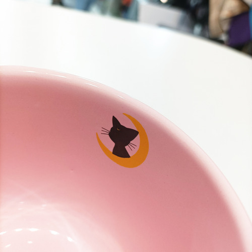 Tazon Taza Anime Sailor Moon And Luna Artemis Cat Gatito