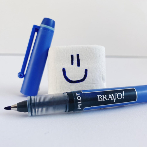 Marcadores Pilot Bravo X Unidad