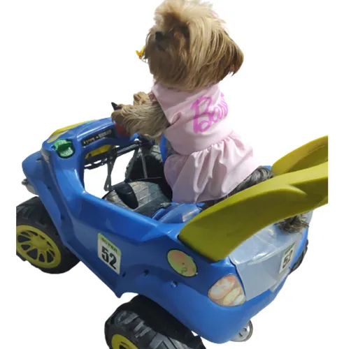 Roupa Roupinha Pet Para Cachorro Vestido Barbie Com Guia