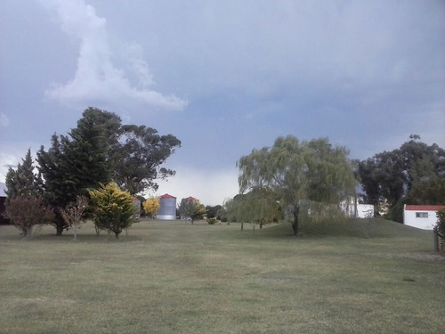 Imagen 4 de 30 de Campo Mixto En San Cayetano