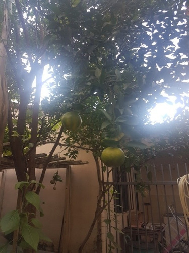 Imagem 14 de 25 de Casa De Luxo No Bairro Da Graça 4 Quartos 3 Vagas - 2434
