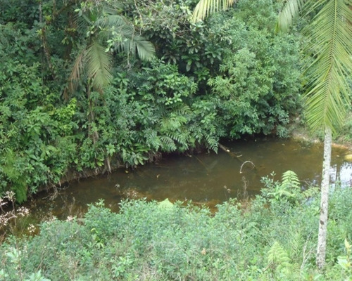 Imagem 4 de 13 de Sitio Em Juquitiba Sp; Sitio À Venda Juquitiba; - 251 - 32982557
