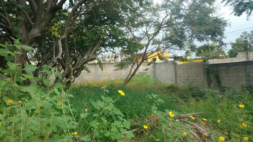 Imagen 6 de 9 de Venta Terreno Alta Palmira Temixco, Mor.