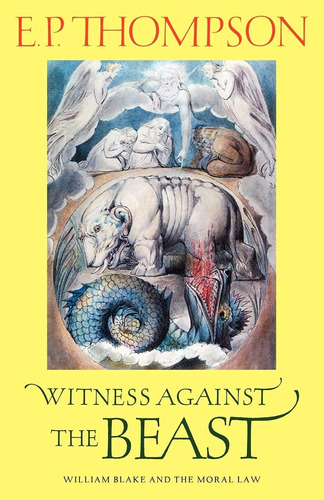 Libro: Witness Against The Beast: William Blake And The Law