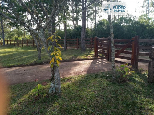 Imagem 2 de 30 de Chácara A Venda No Bairro Centro Em Morro Redondo - Rs. - 1699-1