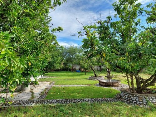Imagen 1 de 17 de Rancho/hacienda En Venta En Congregación Calles